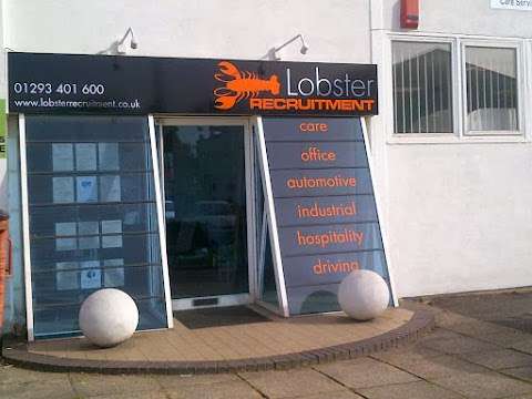 Lobster Recruitment photo